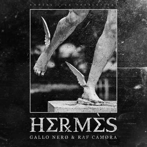 hermes gallo nero
